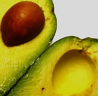 aufgeschnittene Avocado